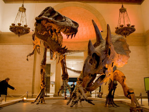 Natural History Museum, Exposition Park, Los Angeles, California, USA.